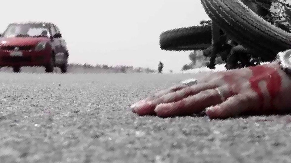 भैय्या दूज मनाकर लौट रहे पति-पत्नी की सड़क हादसे में मौत