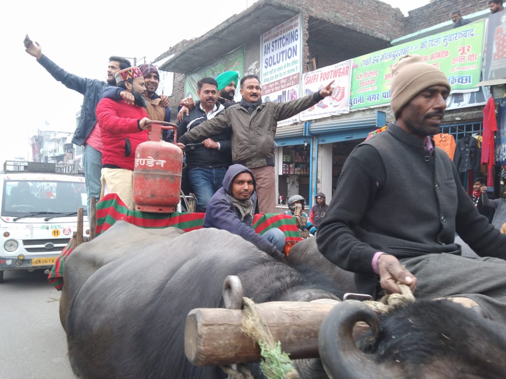 किच्छा में बैलगाड़ी पर सिलेंडर रखकर कांग्रेसियों ने किया प्रदर्शन