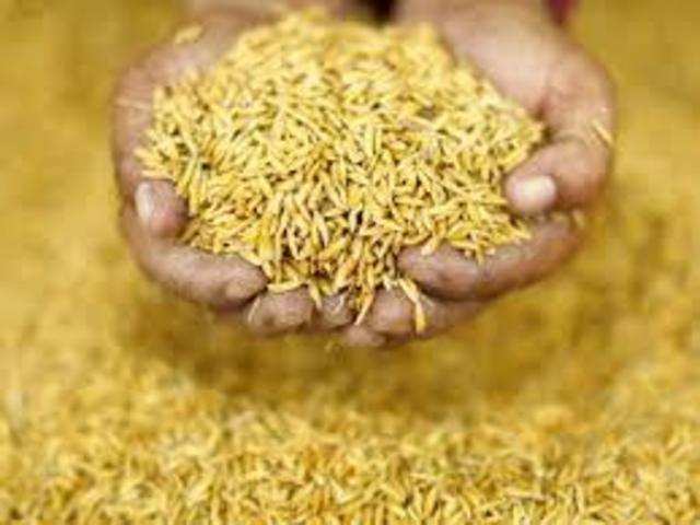 जानिए, भूरारानी के किस व्यापारी से हुई धान खरीद के नाम पर 10 लाख की धोखाधड़ी